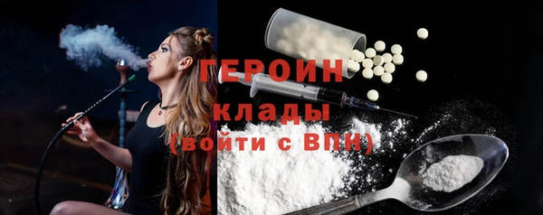 гидра Богородск