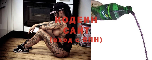 гидра Богородск