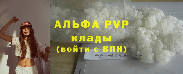 индика Белокуриха