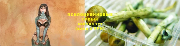 ешки Богородицк