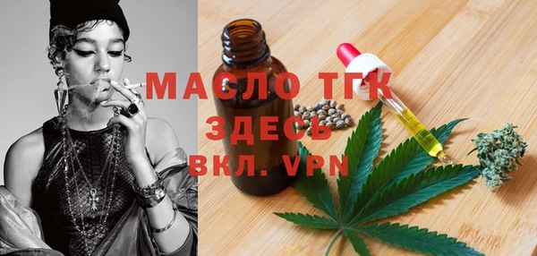 гидра Богородск
