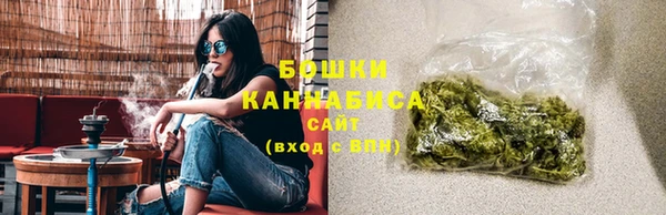 прущий лед Богданович