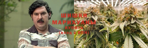 прущий лед Богданович